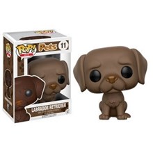 Labrador Retriever (Chocolate)