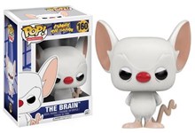 The Brain
