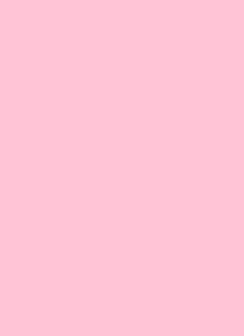 Double Matte Small Sleeve - Pink (60-Pack) · Legion Premium Supplies Card Sleeves