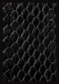 Gloss Sleeve - Dragon Hide Black (50-Pack) · Legion Premium Supplies Card Sleeves