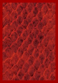 Gloss Sleeve - Dragon Hide Red (50-Pack) · Legion Premium Supplies Card Sleeves
