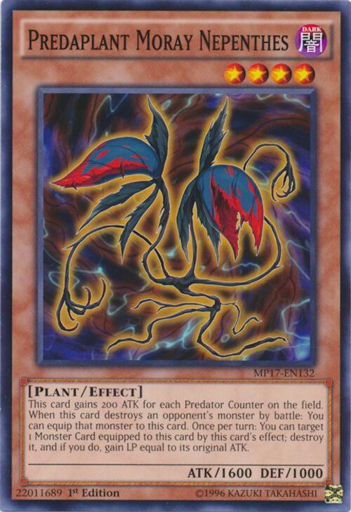 Predaplant Moray Nepenthes