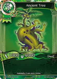 Ancient Tree