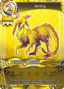 Birdog