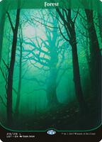 Forest - Unstable - Magic: The Gathering - TCGplayer.com