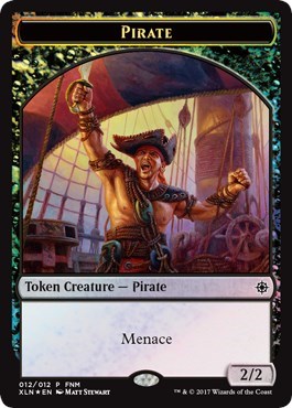 Pirate Treasure Double Sided Token