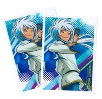 Bushiroad Sleeve Collection Mini Extra Pack Vol.17: Cardfight!! Vanguard - Jaime · Bushiroad Card Sleeves