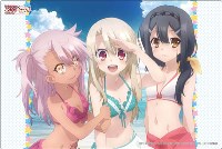 Bushiroad Rubber Mat Collection Vol.48: Fate/kaleid liner Prisma Illya 2wei Herz · Bushiroad Playmats