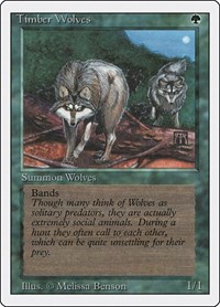 Timber Wolves (Revised Edition)