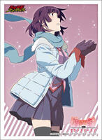 Bushiroad Sleeve Collection HG Vol.1034: Monogatari Series Second Season -  Hitagi Senjougahara (60-Pack) - Bushiroad Card Sleeves - Card Sleeves -  TCGplayer.com