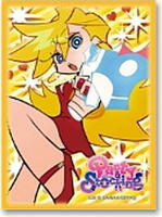 panty and stocking card sleeves Multi-type SD Card Holder | Memory Card tray holds up to 9 SD cards, USB Flash Drives, MiniSD cards | Desk organizer | Camera accessories