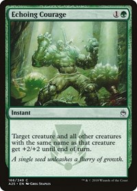 Echoing Courage (Masters 25)