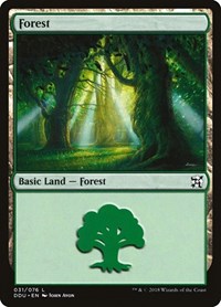 Forest (031) - Duel Decks: Elves vs. Inventors - Magic: The Gathering card
