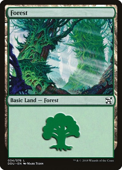 Forest 034