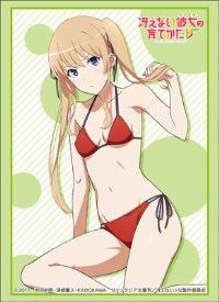 Bushiroad Sleeve Collection HG Vol.1482: How to Raise a Boring Girlfriend Flat - · Bushiroad Card Sleeves