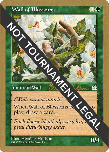 Wall of Blossoms - 1998 Brian Selden (STH) - World Championship