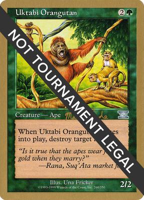 Uktabi Orangutan - 1999 Matt Linde