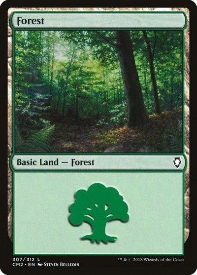 Forest (307)