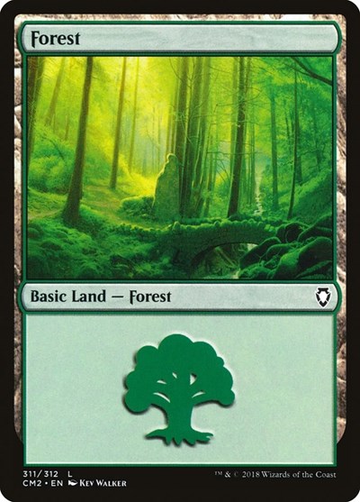 Forest (311)