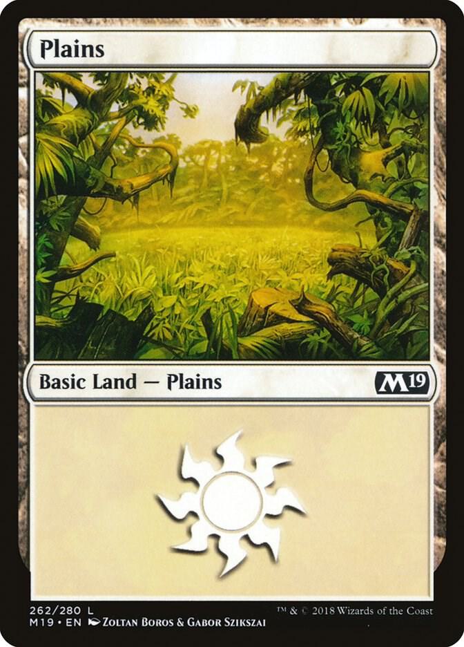 Plains (262) 262 card
