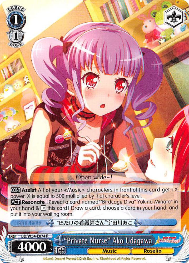 "Private Nurse" Ako Udagawa