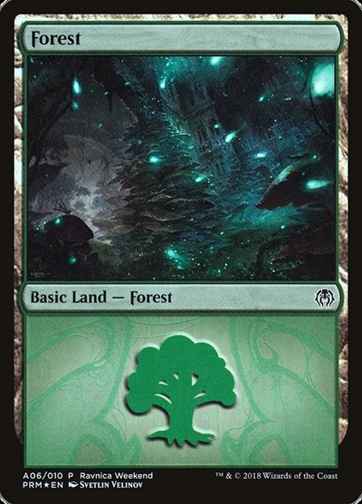 Forest Golgari A06