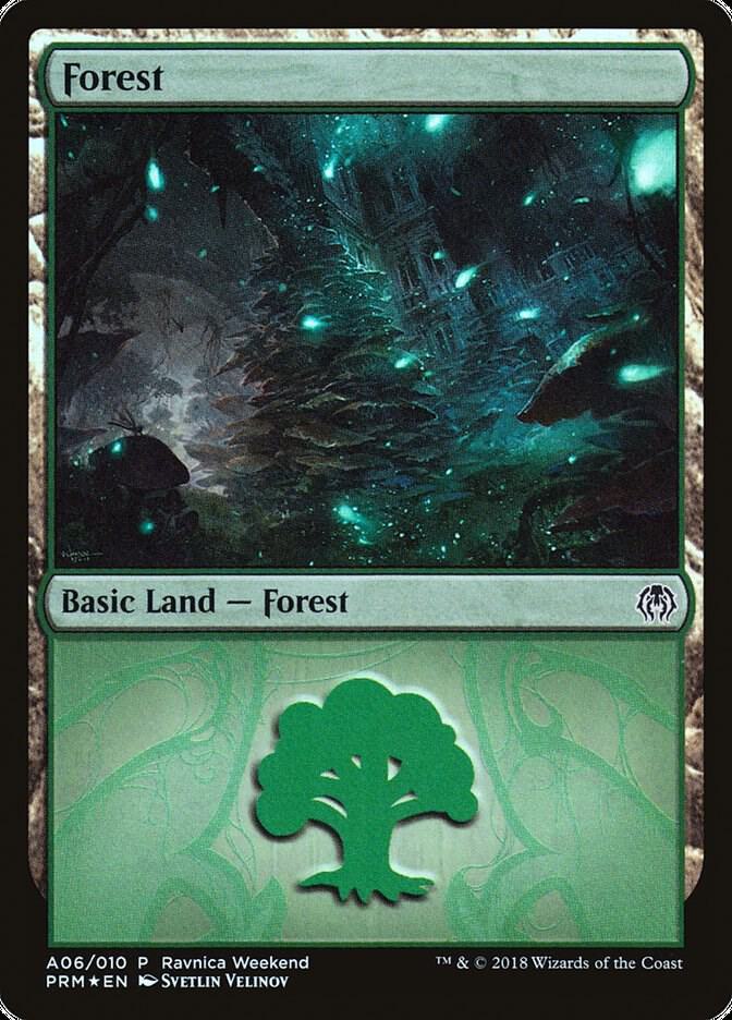Forest - Golgari (A06)