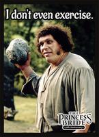 Double Matte Sleeve - Princess Bride: Exercise (50-Pack) - Legion Premium  Supplies Card Sleeves - Card Sleeves - TCGplayer.com