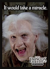 Double Matte Sleeve - Princess Bride: Miracle (50-Pack) · Legion Premium Supplies Card Sleeves