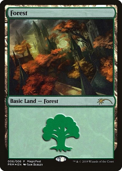 Forest 2019