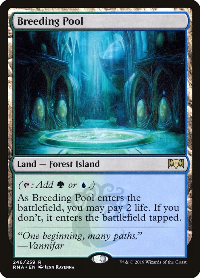 【MTG】繁殖池/Breeding Pool Breeding Pool - Ravnica Allegiance - Magic: The Gathering