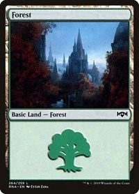 Forest - Ravnica Allegiance - Magic: The Gathering card