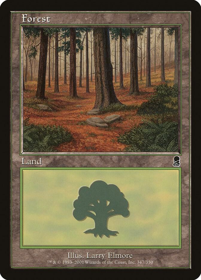 【ご確認用】オデッセイ foil 森(347) 日本語 1枚　MP寄り　MTG Forest (347) - Odyssey - Magic: The Gathering - TCGplayer.com