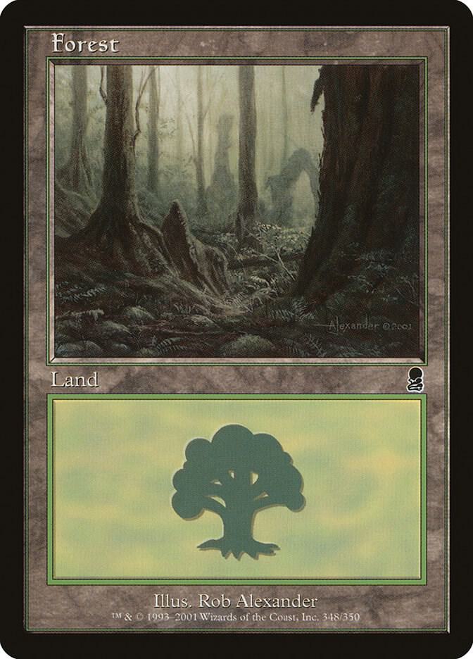 【ご確認用】オデッセイ foil 森(348)c 日本語 1枚　MTG 18455_in_1000x1000.jpg