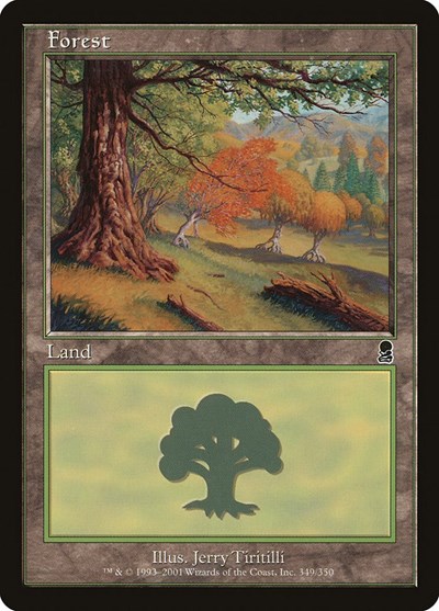 Forest (349)