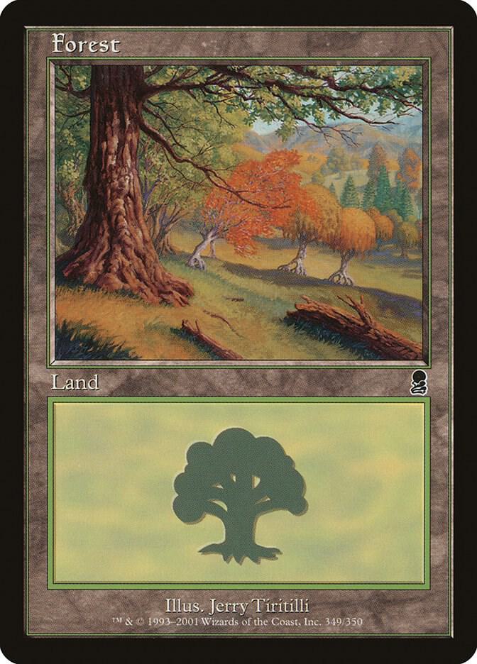Forest (349) - Odyssey - Magic: The Gathering - TCGplayer.com