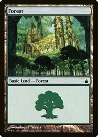 Forest (305) (Ravnica: City of Guilds)