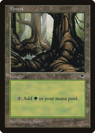 Forest (Pond)