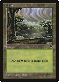 Forest (Cloudy) - Tempest - Magic: The Gathering card
