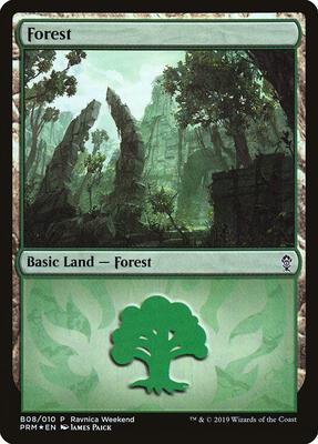 Forest - Gruul