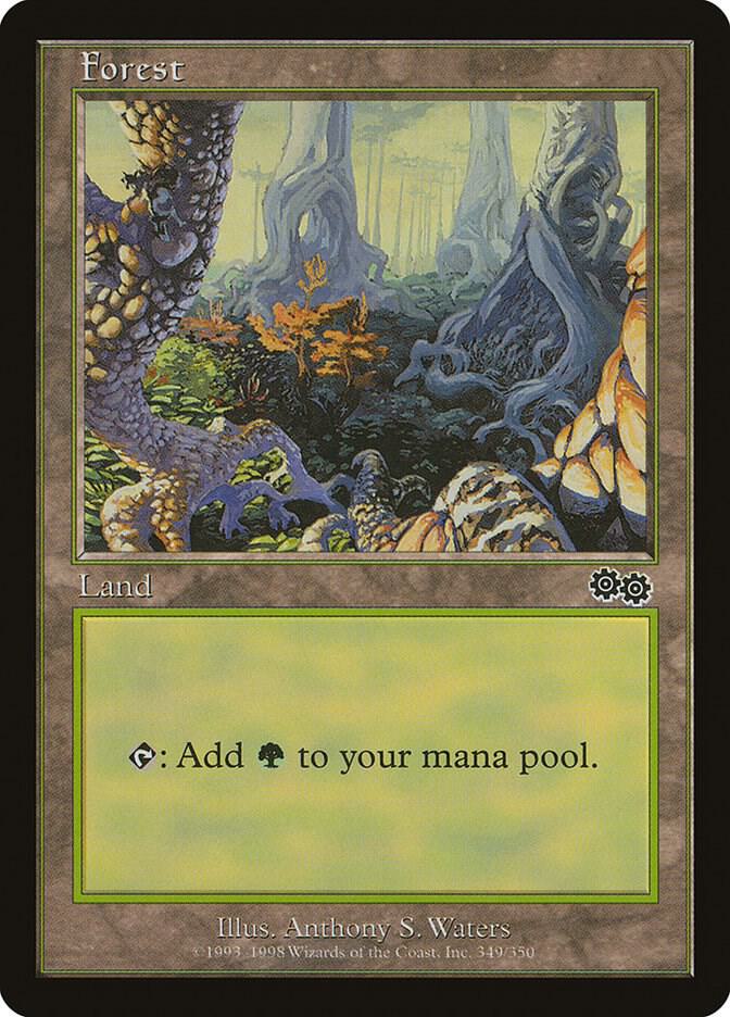 Forest (349) - Urza's Saga - Magic: The Gathering - TCGplayer.com