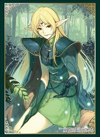 Bushiroad Sleeve Collection HG Vol.1928: Kadokawa Sneaker Bunko - Record of Lodo · Bushiroad Card Sleeves