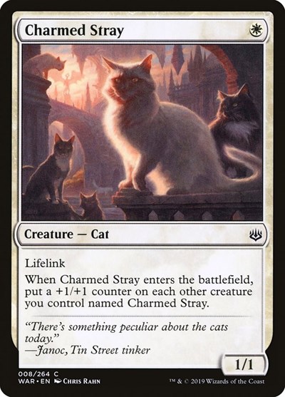 Charmed Stray from WAR #8, Magic: The Gathering card