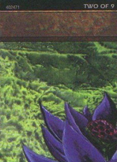 Black Lotus 2 of 9 Ultra Pro Puzzle Quest