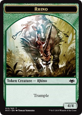 Rhino Spirit Double Sided Token