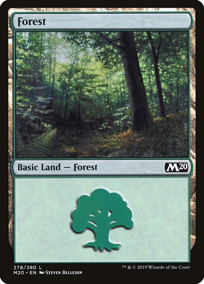 Forest (278)