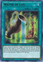 yugioh water field spell cards Pojo's Yu-Gi-Oh! Site Water of Life - Battles