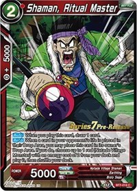 Shaman, Ritual Master card art