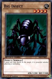 Big Insect