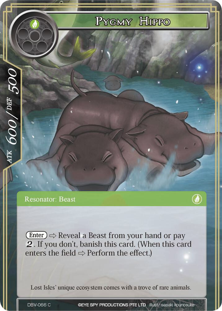 Pygmy Hippo